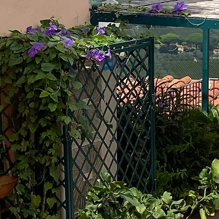 Cuccurucumare- Lägenhet Castagneto Carducci