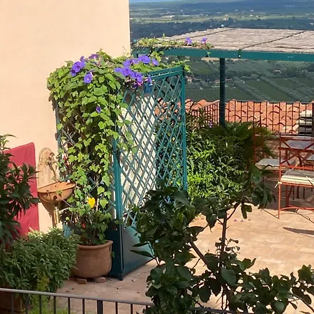 Cuccurucumare-